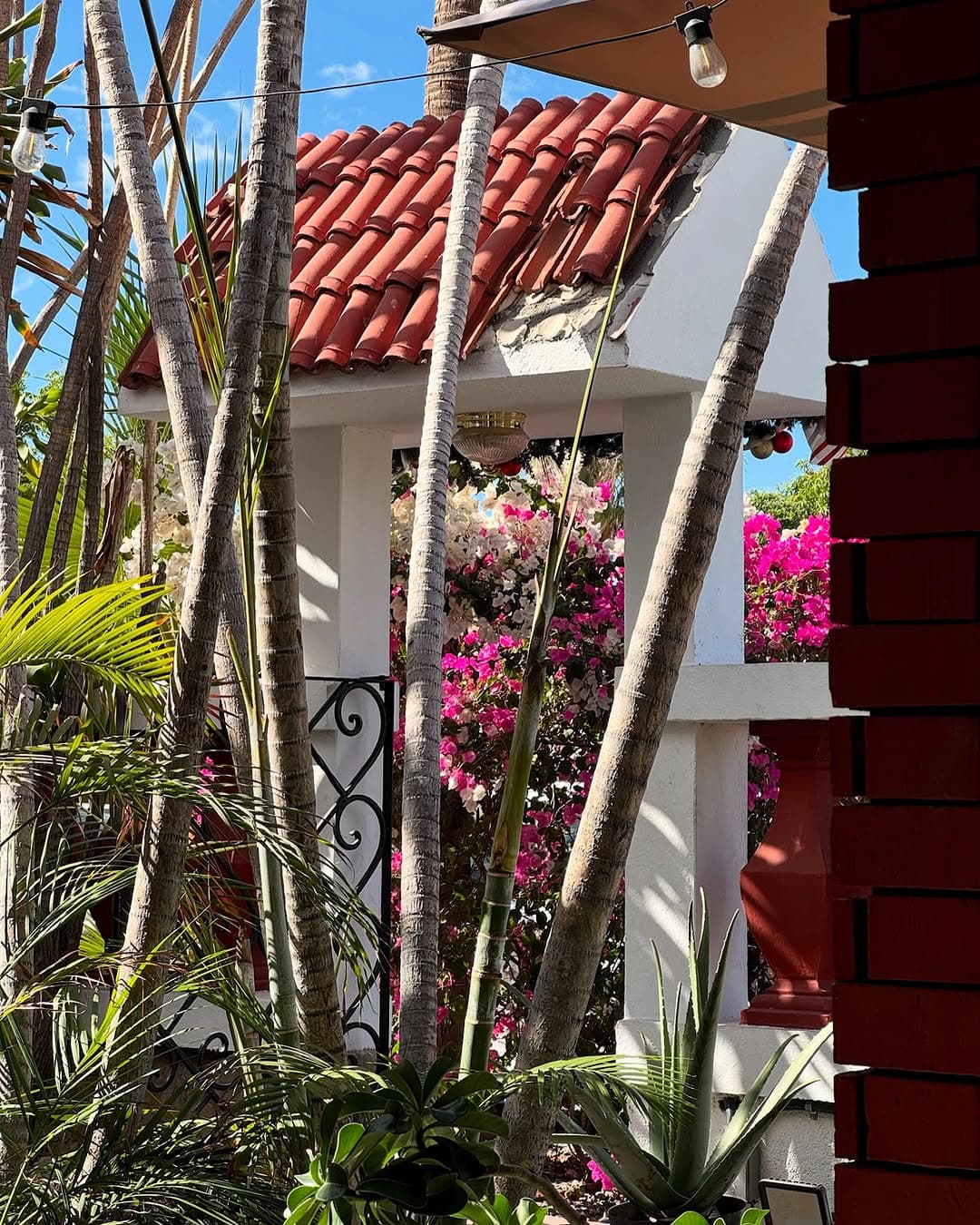 Jardín tropical de Reyna La Casa con bugambilias y palmeras